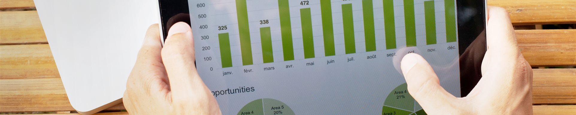 Greenwashing iPad zeigt Diagramme
