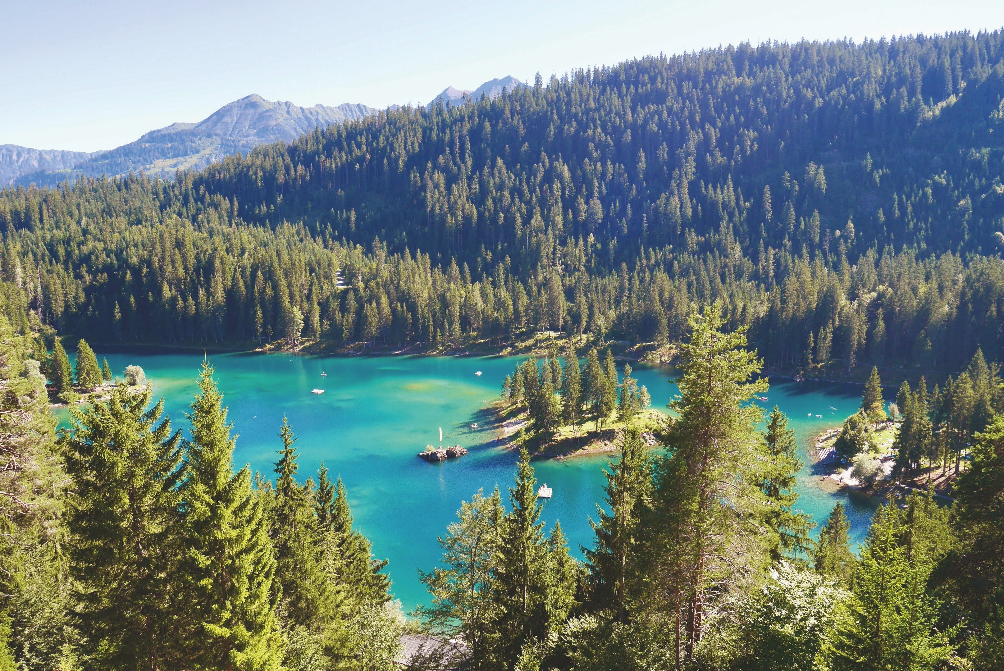 Bergsee umgeben von Wald