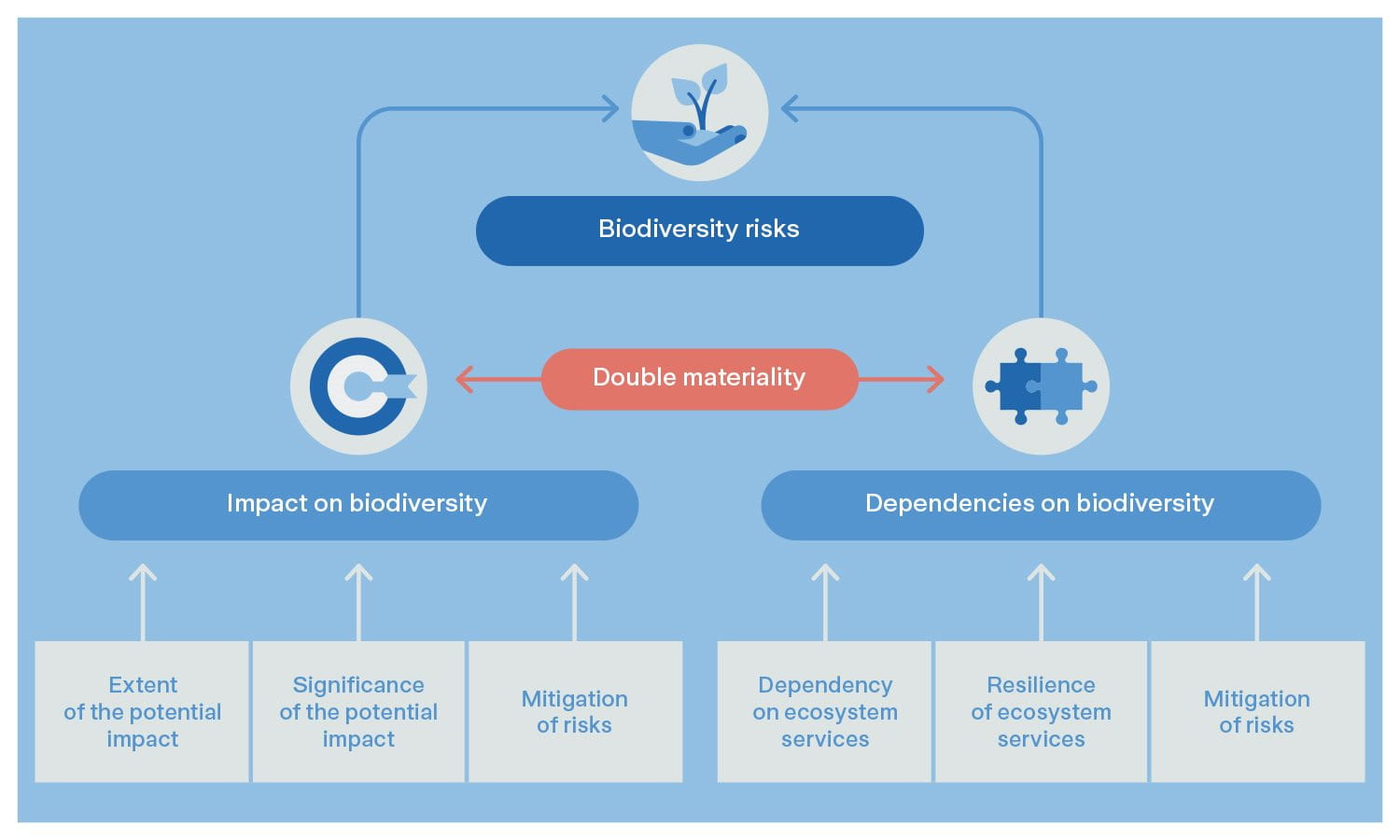 Sustainability Info graph double materiality