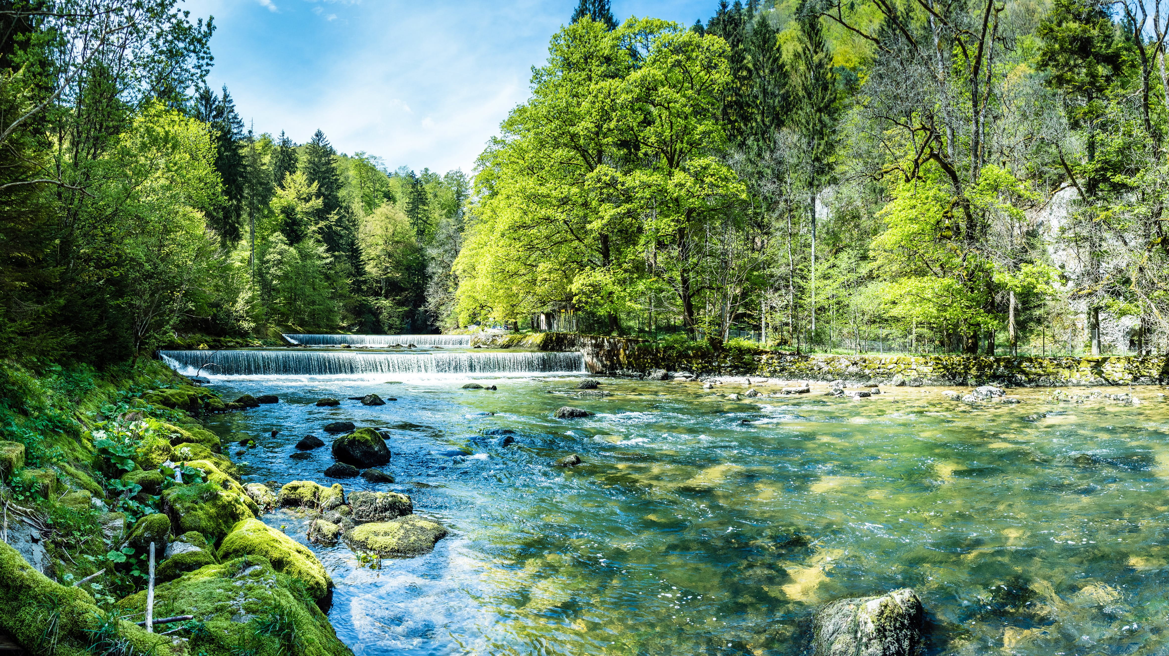 Wald und Fluss 