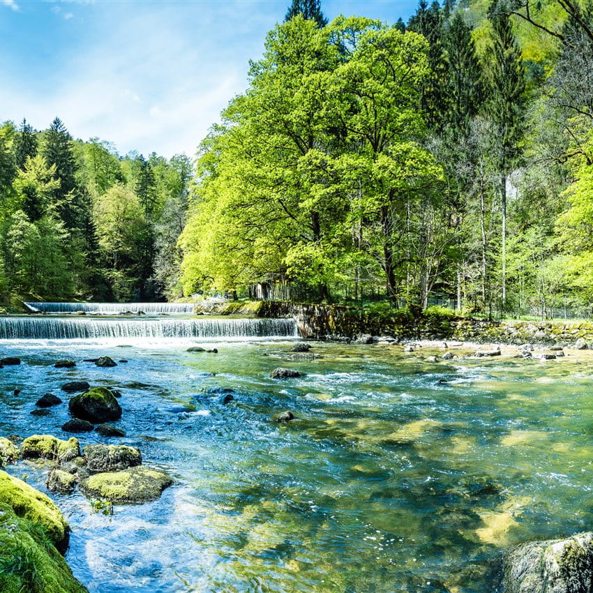 ZAST rapport annuel Forêt et rivière