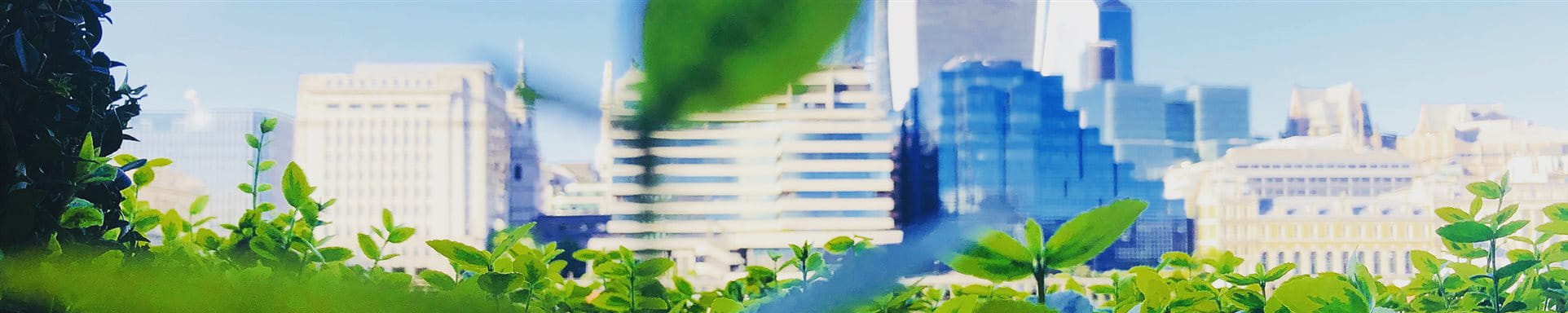 ESG Kriterien ESG Kriterien