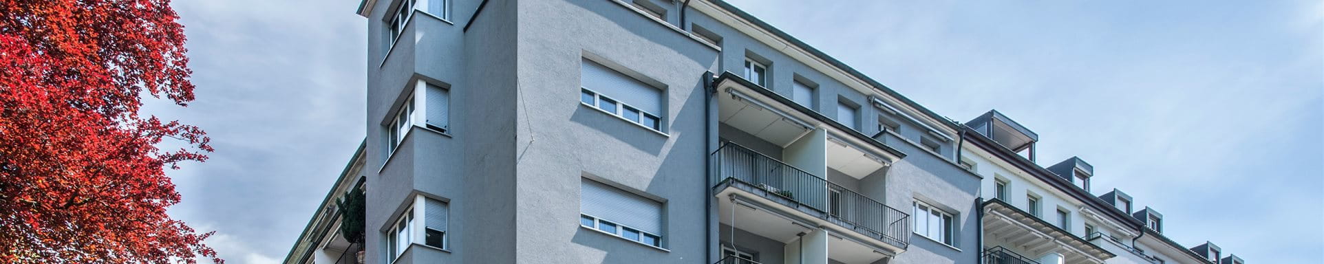 ZIF Immobilier Direct Suisse Immeuble d'habitation Lucerne ZIF Immobilier Direct Suisse